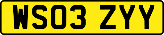 WS03ZYY