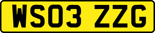 WS03ZZG