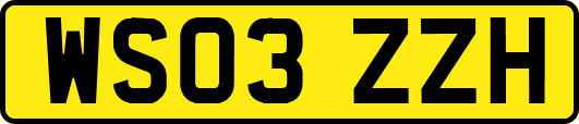 WS03ZZH