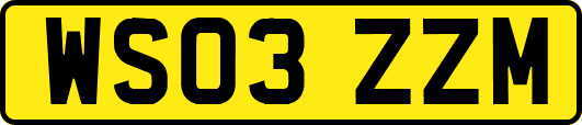 WS03ZZM