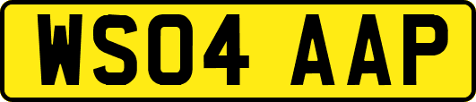 WS04AAP
