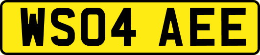 WS04AEE