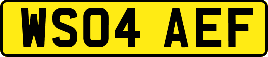 WS04AEF