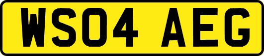 WS04AEG