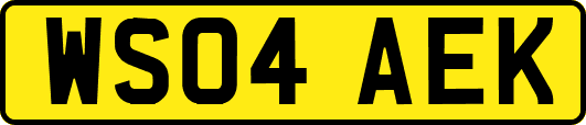 WS04AEK