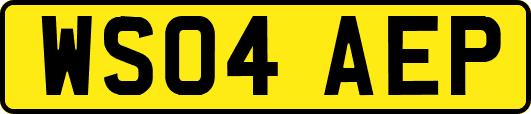 WS04AEP