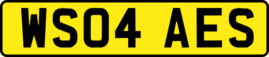 WS04AES