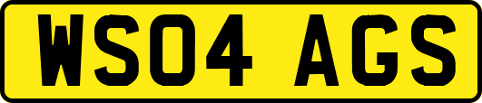 WS04AGS