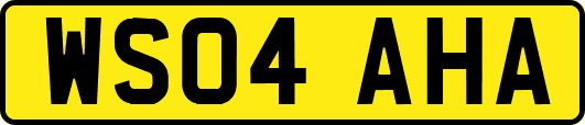 WS04AHA