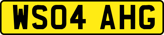 WS04AHG