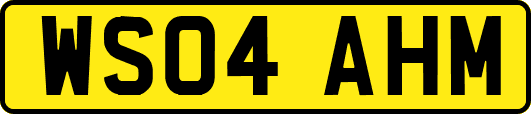 WS04AHM