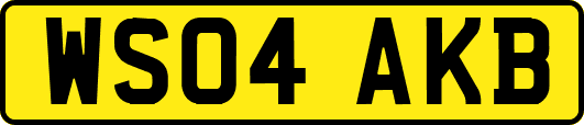 WS04AKB