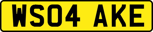 WS04AKE