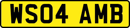 WS04AMB
