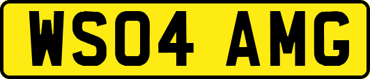 WS04AMG