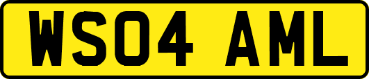 WS04AML