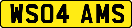 WS04AMS