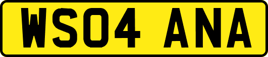WS04ANA