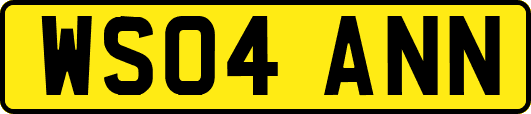 WS04ANN
