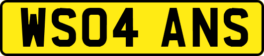 WS04ANS