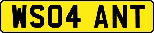 WS04ANT