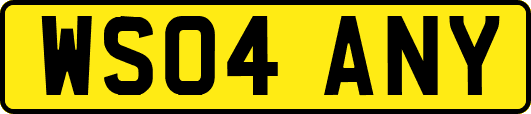WS04ANY