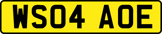 WS04AOE