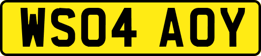 WS04AOY