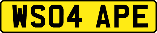WS04APE