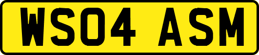 WS04ASM