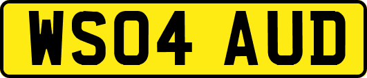 WS04AUD