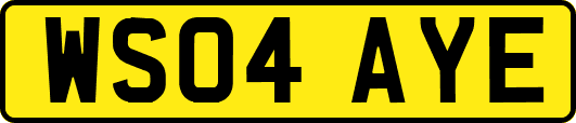 WS04AYE