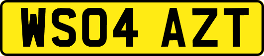 WS04AZT
