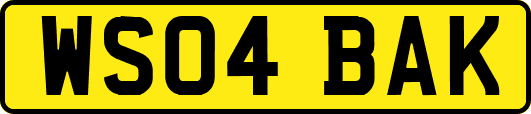 WS04BAK
