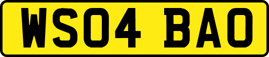 WS04BAO