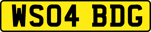 WS04BDG