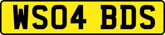 WS04BDS