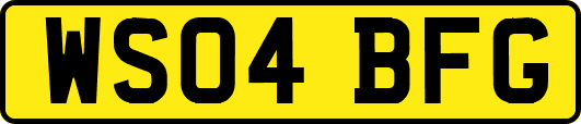WS04BFG