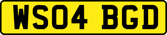 WS04BGD