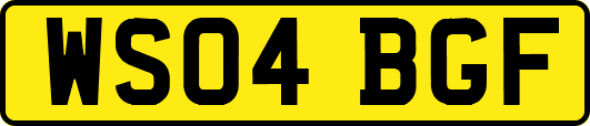 WS04BGF