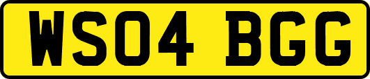 WS04BGG