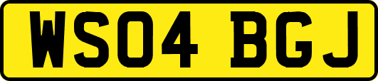 WS04BGJ