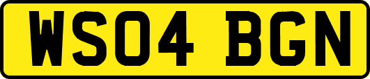 WS04BGN