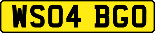 WS04BGO