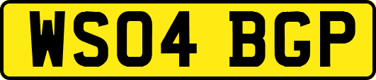 WS04BGP
