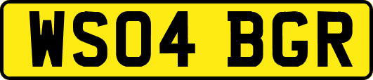 WS04BGR