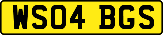 WS04BGS