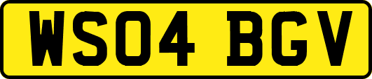 WS04BGV