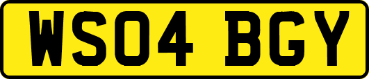 WS04BGY