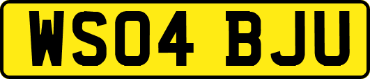 WS04BJU